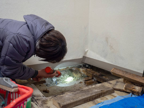 Best Crawl Space Mold Remediation  in Bradley Gardens, NJ