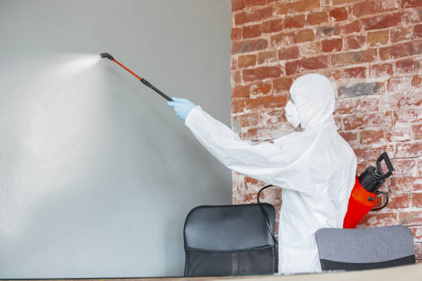 Mold Remediation for Vacation Homes in Bradley Gardens, NJ