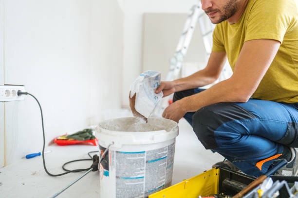 Best Basement Mold Removal  in Bradley Gardens, NJ