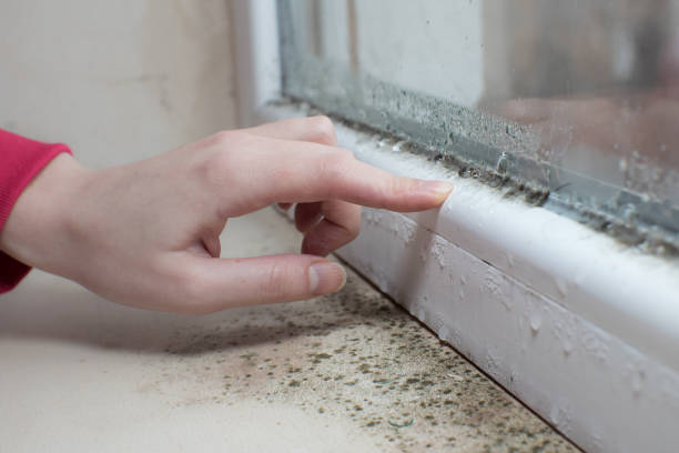 Best Airborne Mold Testing  in Bradley Gardens, NJ