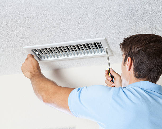 Reliable Bradley Gardens, NJ Mold Removal Solutions