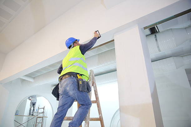 Best Attic Mold Removal  in Bradley Gardens, NJ