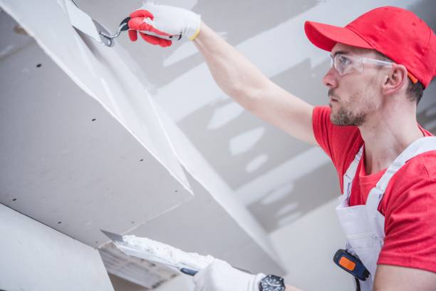 Best Emergency Mold Remediation  in Bradley Gardens, NJ